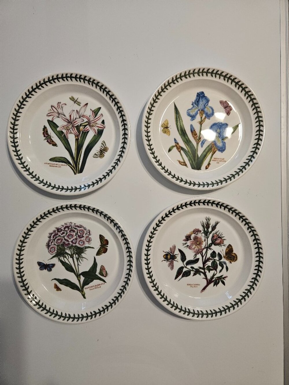 Portmeirion Botanic Garden Salad Plates